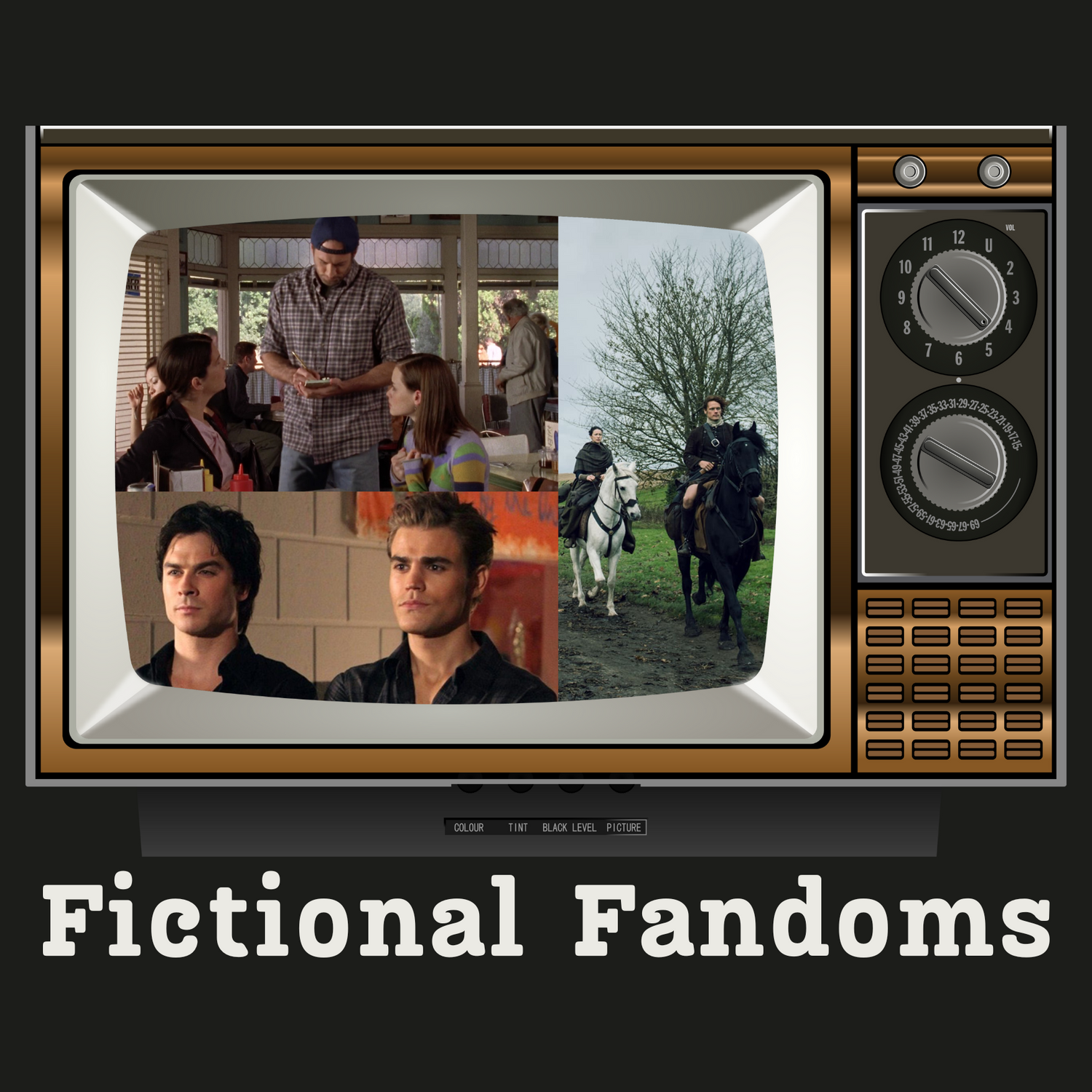 Fictional Fandoms